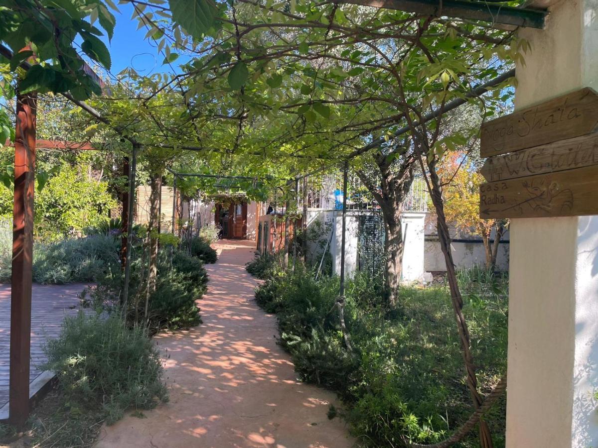 Casa Radha Villa Binissalem Bagian luar foto